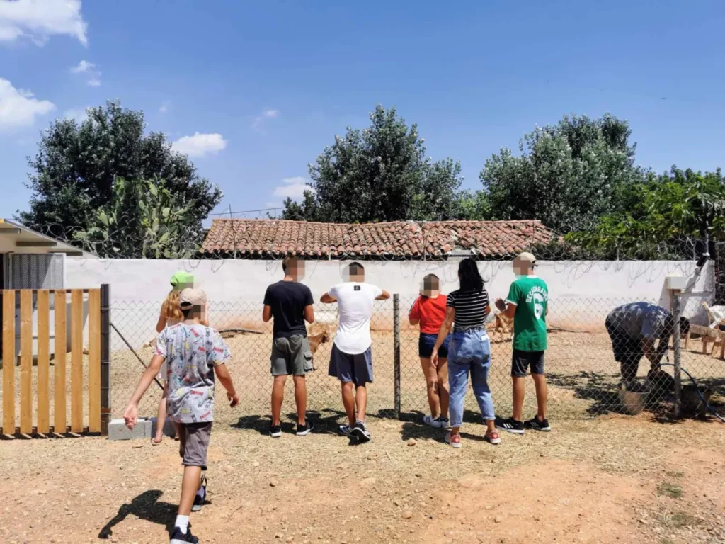 Στηρίζουμε τα ζώα φάρμας του Οργανισμού Χαμόγελο του Παιδιού